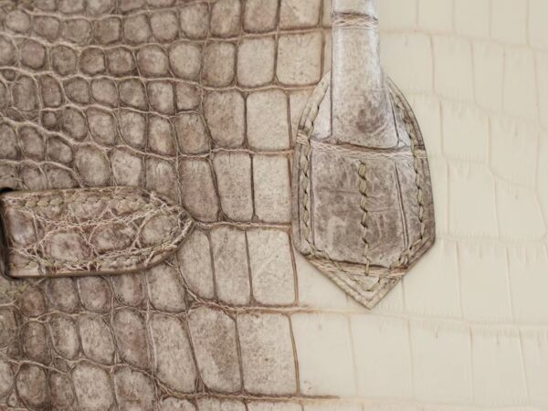 718330bcc74ff2c Hong Kong Hermes Birkin 30CM Himalaya Matte Niloticus Crocodile Gold Hardware