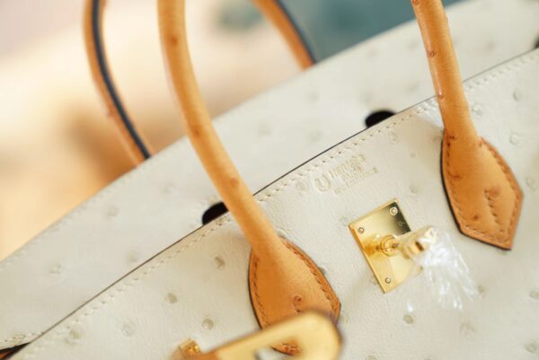 750c34ff5761463 God Factory Bags Hermes Birkin Bag25CM 3C Parchemin/1H Toffe KK Ostrich Leather Gold Hardware