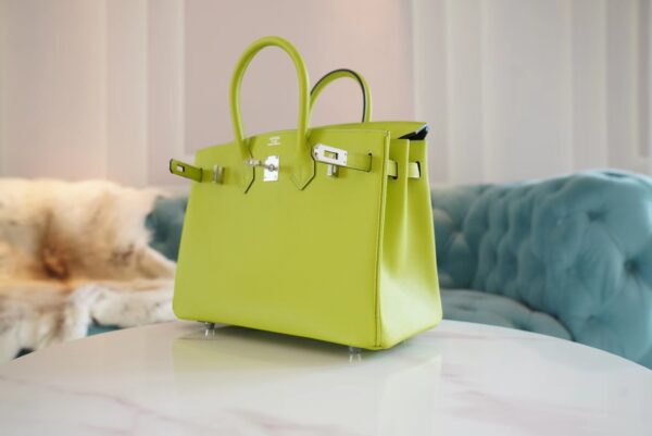 7537cb342e3ced4 God Factory Bags Factory Hermes Kiwi Epsom Leather Birkin25CM Silver Hardware