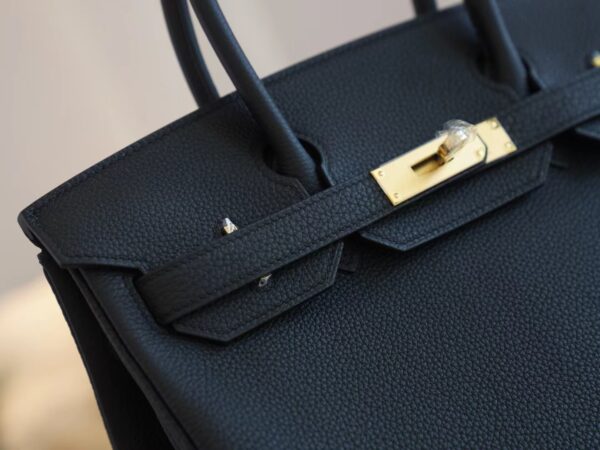 76162edc596da75 New Arrival Hermes CK89 Nior Birkin 30CM Togo Leather Gold Hardware