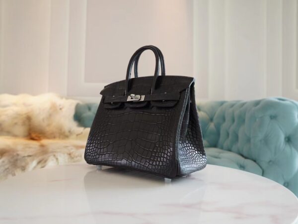 7b87db33fd524f7 Hermes Shop CK89 Nior Birkin 25CM HCP Matte Alligator Silver Hardware