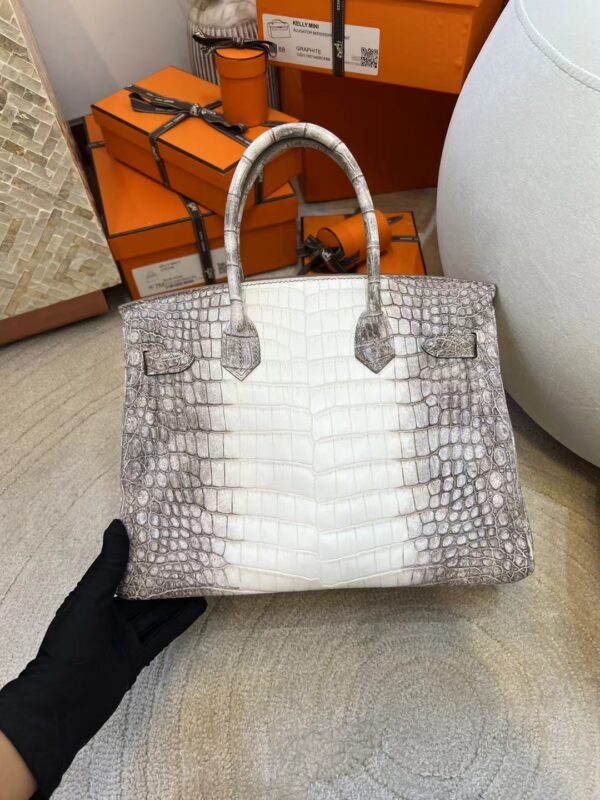 7d8395c91f2b8f5 Canada Ottawa Hermes Himalaya Crocodile Leather Birkin 30CM Silver Hardware