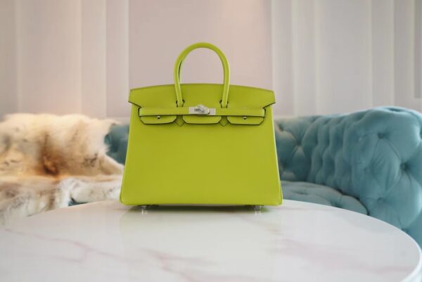 7fd2fd440acae03-1 God Factory Bags Factory Hermes Kiwi Epsom Leather Birkin25CM Silver Hardware