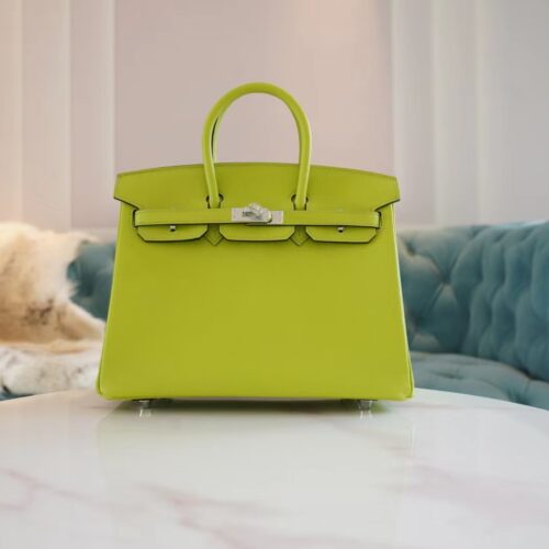 God Factory Bags Factory Hermes Kiwi Epsom Leather Birkin25CM Silver Hardware