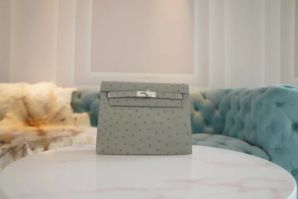 8178bb6436fef99-1 Canada Ottawa Hermes Kelly Danse 22CM KK Ostrich 8U Blue Glacier Silver Hardware