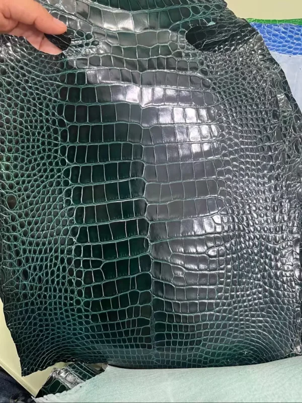 New Arrival Hermes Shiny Alligator Crocodile 6O Vert Cypres