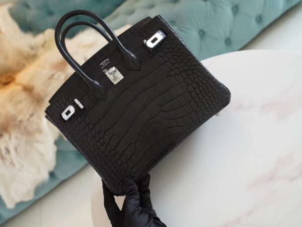 822982d5ab6231b Hermes Shop CK89 Nior Birkin 25CM HCP Matte Alligator Silver Hardware