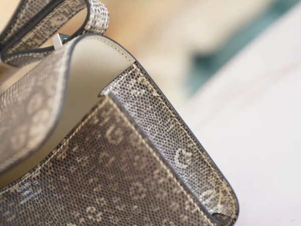 82731a124bba6ff Full Handmade God Factory Bags Hermes Constance14cm Ombre Lizard Skin Silver Hardware