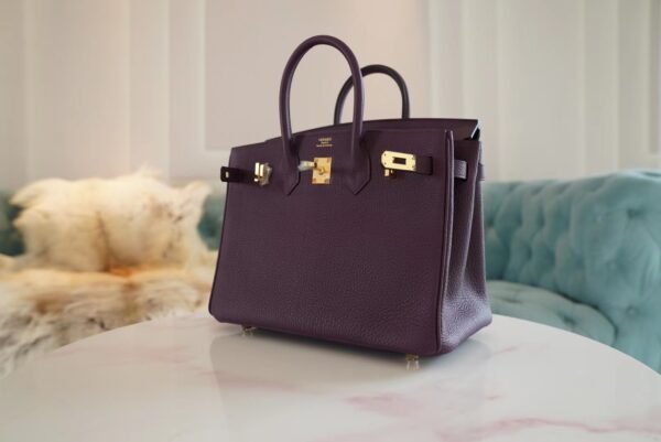 82fcf3d46d939c4 USA New York Hermes Birkin 25CM Togo 59 Raisin Gold Hardware