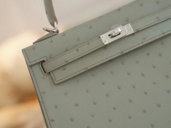 8333b1a86ce73ea Hermes Shop Kelly 25CM KK Ostrich 8U Blue Glacier Silver Hardware