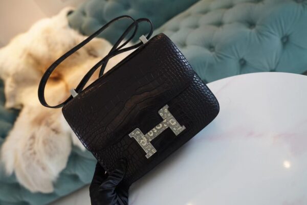 8471f99000a3fd3 God Factory Bags Hermes Matte Crocodile Constance 24CM CK89 Nior Lizard Buckle