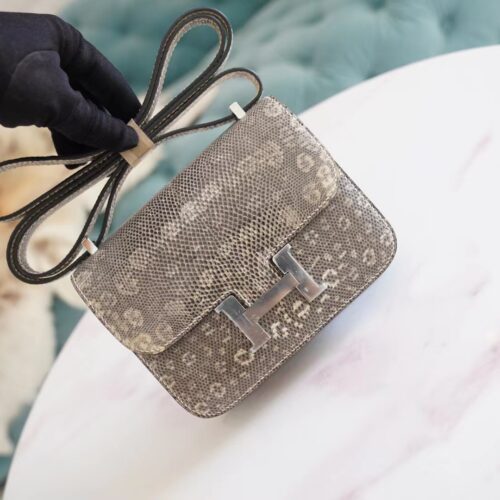 Full Handmade God Factory Bags Hermes Constance14cm Ombre Lizard Skin Silver Hardware