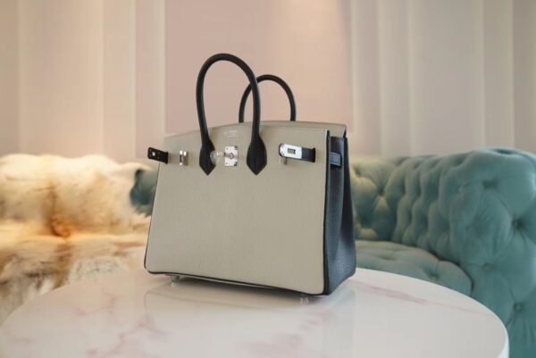 896b1cd873fcbd7 God Factory Bags Factory Hermes C80 Gris Pearl/CK89 Black Chevre Leather Birkin25CM Silver Hardware