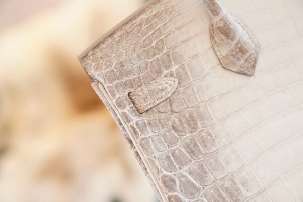 8a5ba868729ea21 Full Handmade Hermes Himalaya HCP Niloticus Crocodile Birkin25CM Silver Hardware