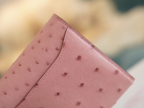 8f59a8ce4e27dae Sale God Factory Bags Hermes 94 Terre Cuite Ostrich Leather Constance Wallet Silver Hardware