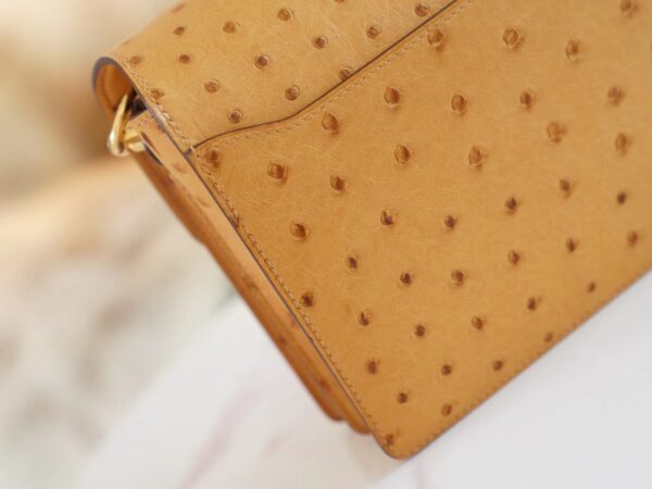 8fba80c863ebf41 New Hermes Roulis Mini18cm Tabac-Camel South Africa Ostrich Skin Gold Hardware