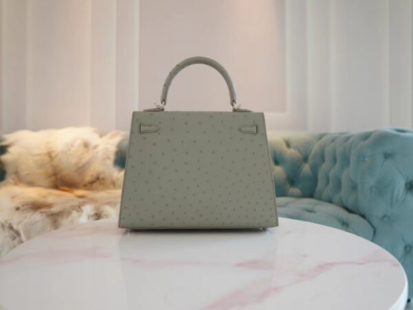 91a470a455ddcaf Hermes Shop Kelly 25CM KK Ostrich 8U Blue Glacier Silver Hardware