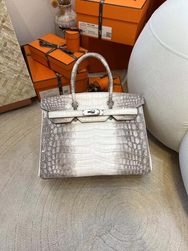 935737bc5ef5b65 Canada Ottawa Hermes Himalaya Crocodile Leather Birkin 30CM Silver Hardware