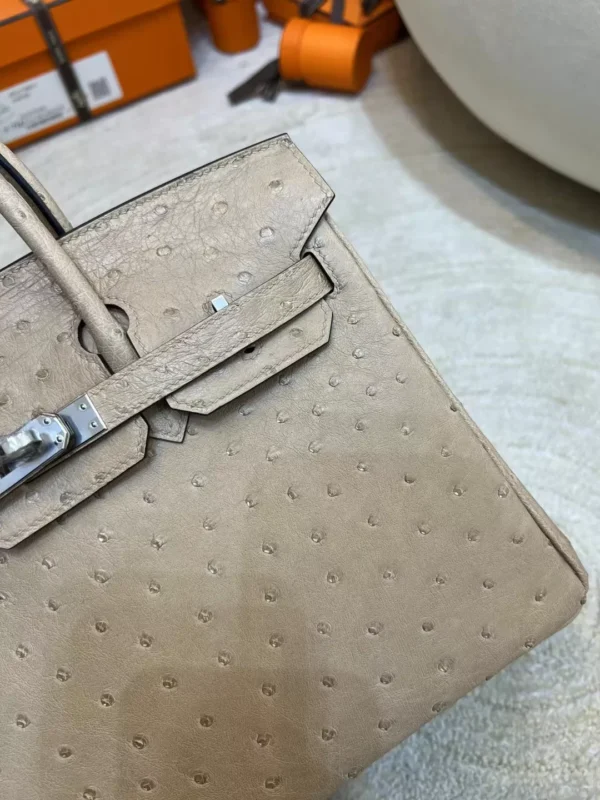 9c7305b66b7606b-jpg Australia Sydney Birkin 25CM 0M Chai KK Ostrich Leather Silver Hardware