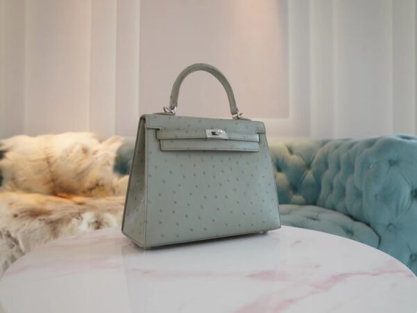 9cb8052548011d9 Hermes Shop Kelly 25CM KK Ostrich 8U Blue Glacier Silver Hardware