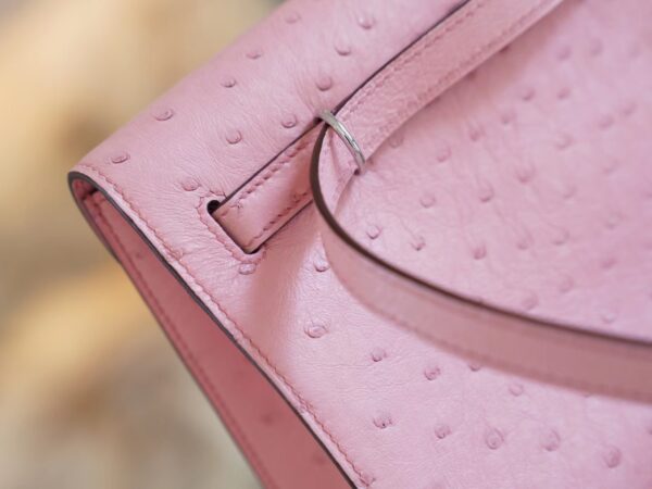 9fae23ddf1f7abb Discount Hermes 94 Terre Cuite South Africa Ostrich Leather Kelly Danse22CM