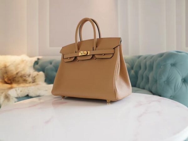 a005fb401edcb96 Fashion Lcmode Hermes 4B Biscuit Togo Leather Birkin25CM Women’s Bag Gold Hardware