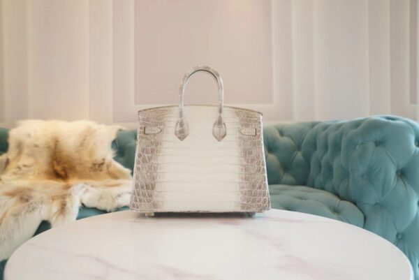 a2ffb69bd433179 Full Handmade Hermes Himalaya HCP Niloticus Crocodile Birkin25CM Silver Hardware