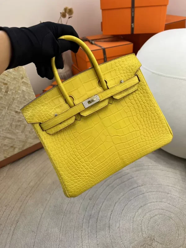 a76ce6a36122bd7-jpg New Hermes Matte Alligator Crocodile M9 Mimosa Birkin 25CM Silver Hardware