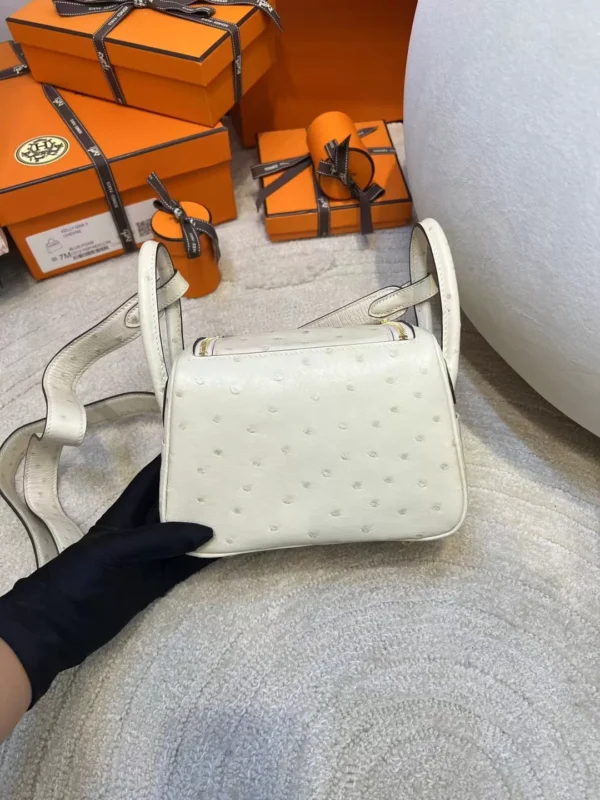 aa1ed92b81fd2ca-jpg Hong Kong Hermes KK Ostrich Mini Lindy 19CM I2 Nata Gold Hardware