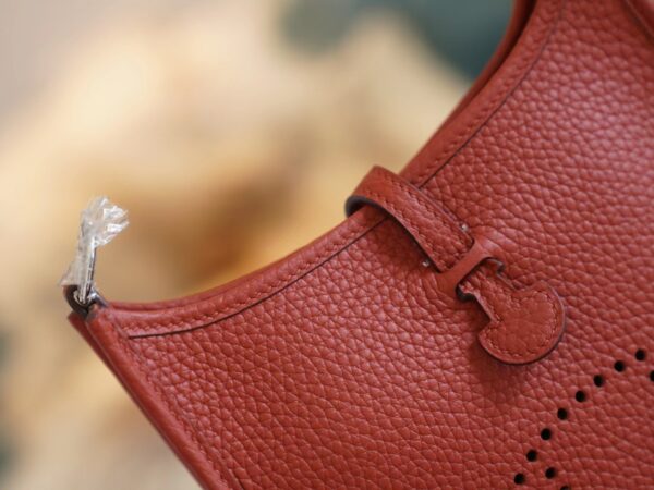 aa713c270020d8a God Factory Bags Factory Hermes Clemence Evelyne Mini 16CM 5F Potiron Silver Hardware