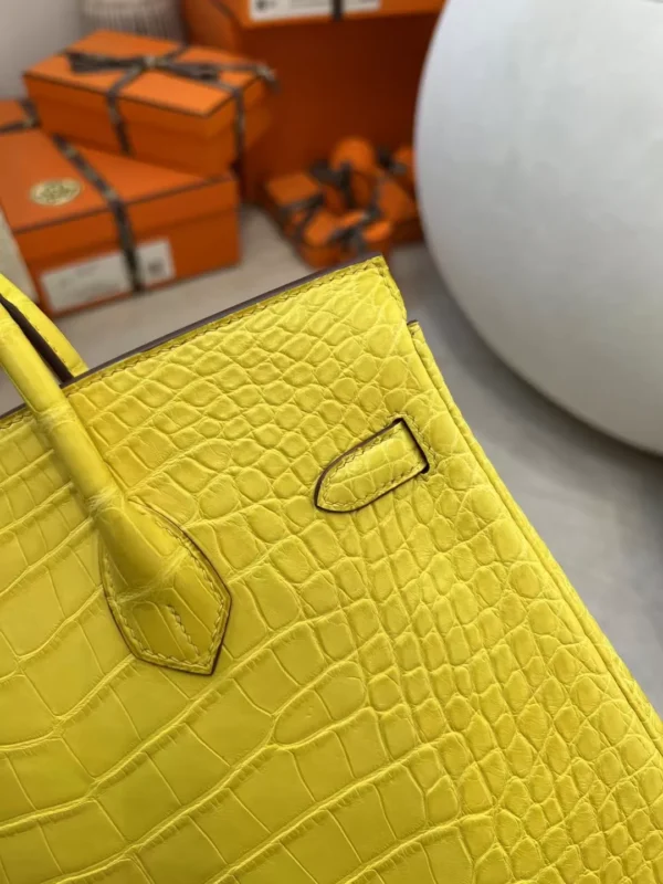 aa827e184b8b8f5-jpg New Hermes Matte Alligator Crocodile M9 Mimosa Birkin 25CM Silver Hardware