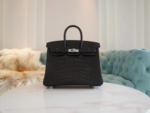 ad2c285e0b2b736-1 Hermes Shop CK89 Nior Birkin 25CM HCP Matte Alligator Silver Hardware