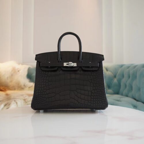 Hermes Shop CK89 Nior Birkin 25CM HCP Matte Alligator Silver Hardware