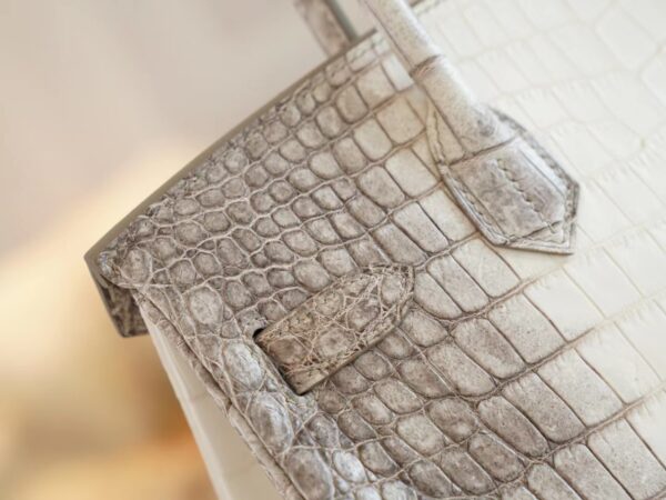 aee6f0c4f803cc6 Hong Kong Hermes Birkin 30CM Himalaya Matte Niloticus Crocodile Gold Hardware
