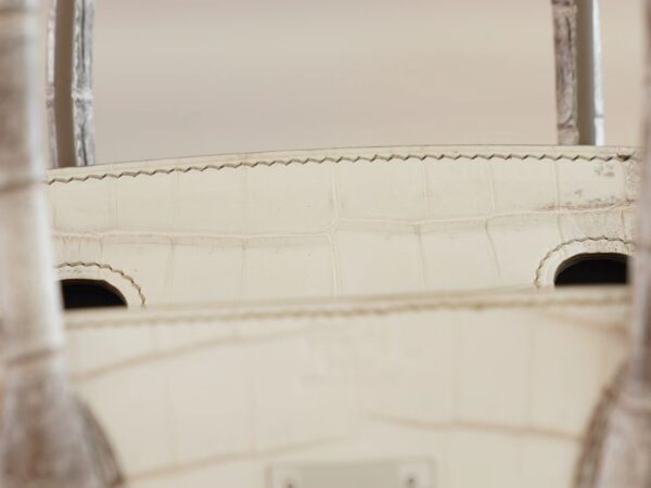 b4274c6d00611c7 Hong Kong Hermes Birkin 30CM Himalaya Matte Niloticus Crocodile Gold Hardware