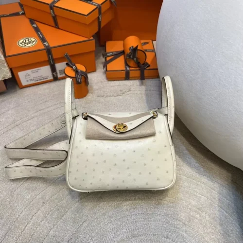 Hong Kong Hermes KK Ostrich Mini Lindy 19CM I2 Nata Gold Hardware