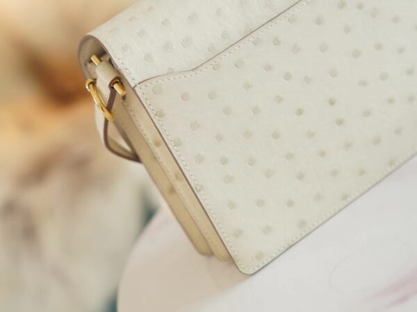 b6c5db0dd78d46c Hermes Boutique 3C Parchemin South Africa KK Ostrich Skin Roulis Mini18cm Gold Hardware