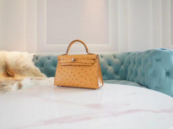 b6d33f54ddb360d Hermes Boutique Tabac-Camel South Africa KK Ostrich Mini Kelly II 19CM