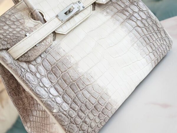 b83403ed9a28737 Hong Kong Hermes Birkin 30CM Himalaya Matte Niloticus Crocodile Gold Hardware