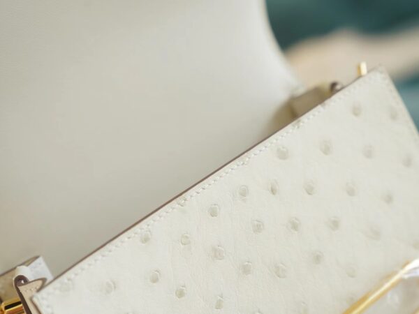 bca7521f0bf5d69 Hermes Boutique 3C Parchemin South Africa KK Ostrich Skin Roulis Mini18cm Gold Hardware