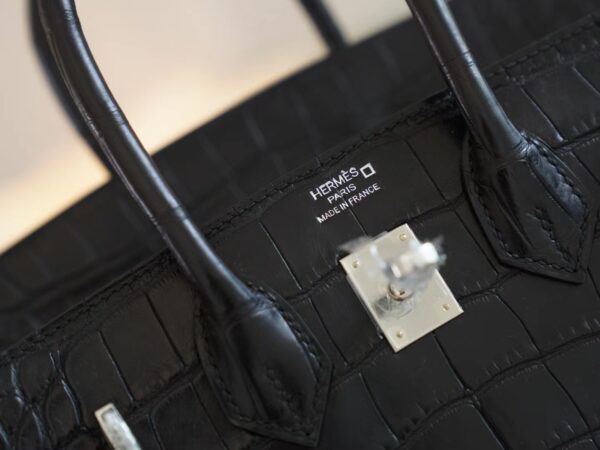 c1e4d985e125dfd Hermes Shop CK89 Nior Birkin 25CM HCP Matte Alligator Silver Hardware