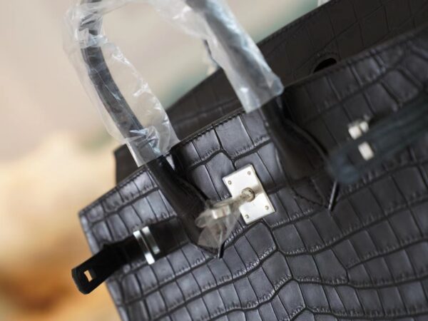 c21faeda3eb83e3 God Factory Bags Factory Hermes CK89 Nior Hcp Niloticus Crocodile Birkin25CM Silver Hardware