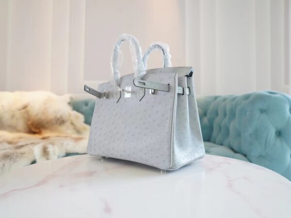 c24e702bdb92458 Discount Hermes 8U Blue Glacier South Africa KK Ostrich Birkin25CM Tote Bag