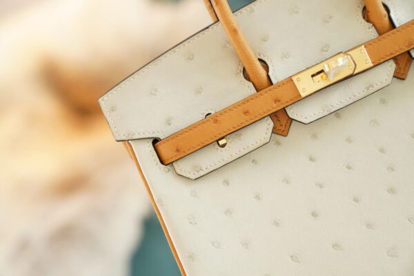c654bd550358855 God Factory Bags Hermes Birkin Bag25CM 3C Parchemin/1H Toffe KK Ostrich Leather Gold Hardware