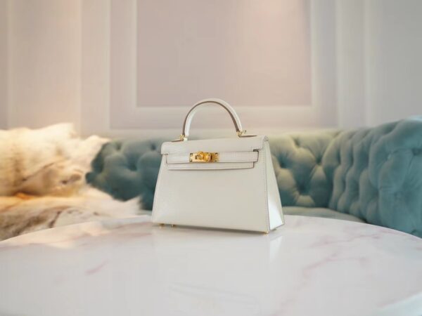 c76fa1504e28049 God Factory Bags Hermes Chevre Leather Mini Kelly 19CM 0T Mushroom Gold Hardware