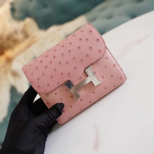 Sale God Factory Bags Hermes 94 Terre Cuite Ostrich Leather Constance Wallet Silver Hardware