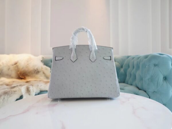 cbc32007885b87d Discount Hermes 8U Blue Glacier South Africa KK Ostrich Birkin25CM Tote Bag