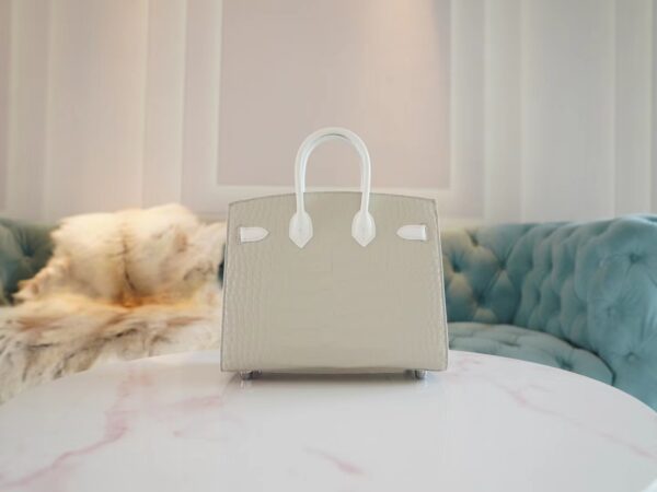 cbc8f9075fdf7b6 Hermes Birkin House 20CM Four Leathers 01 Blanc/ 8L Beton Silver Hardware