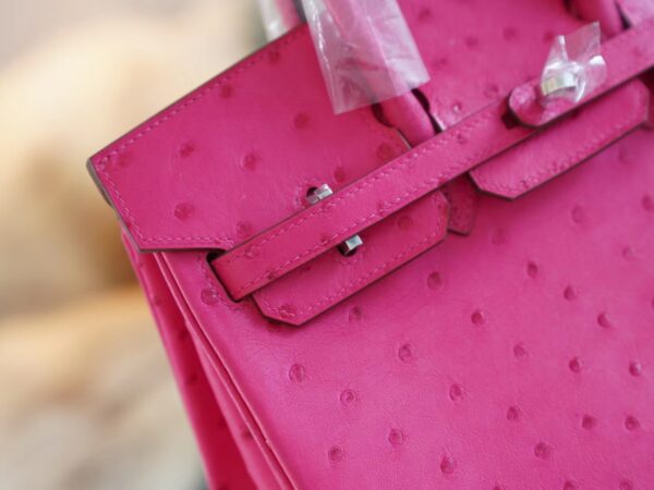 d0e31578db24577 God Factory Bags Hermes Birkin Bag25CM E5 Rose Tyrien South Africa KK Ostrich Skin