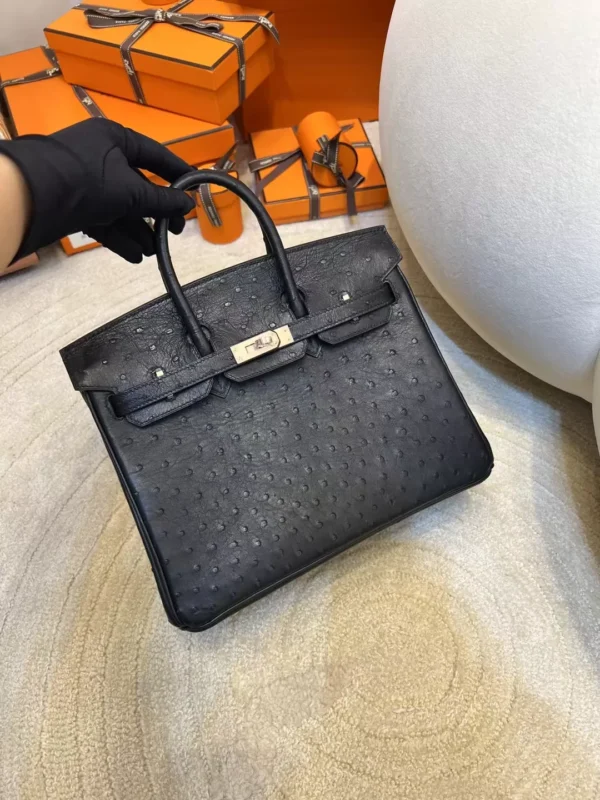 d11b327a6886a07-jpg Hong Kong Hermes KK Ostrich Birkin 25CM 89 Noir Silver Hardware